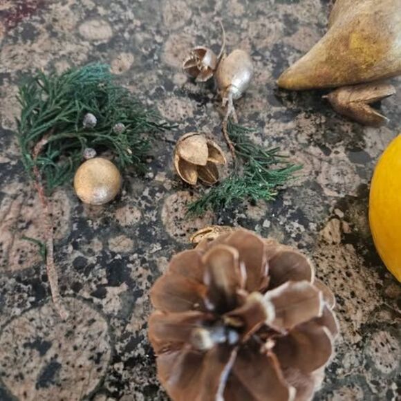 Faux Fruit Lemons Oranges Limes and Weird Alien Seed Pods - Picture 3 of 6